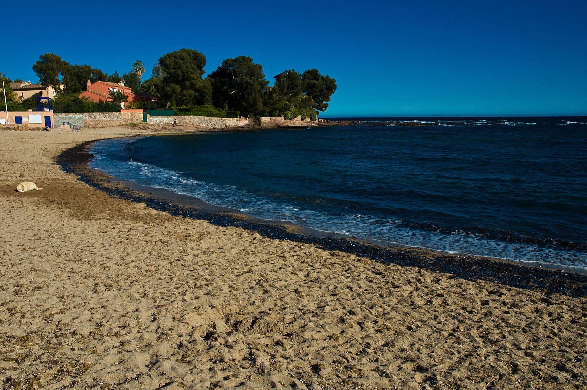 Hotel Et Studios Les Amandiers Saint-Raphael  Bagian luar foto